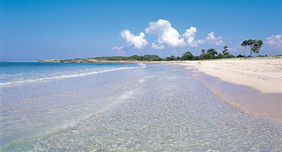 Can Gatet Colonia de Sant Jordi Ngoại thất bức ảnh